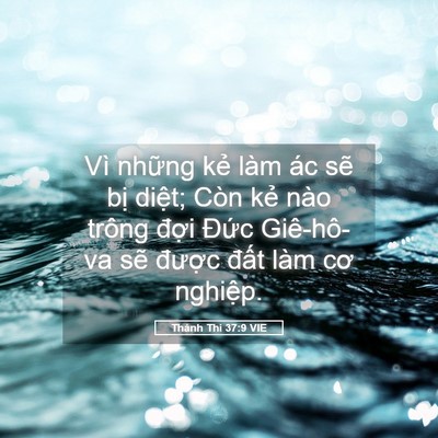 Picture 05 - Thánh Thi 37:9 VIE - Vì những kẻ làm ác sẽ bị diệt; Còn - Bible Verse Picture