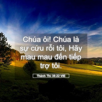 Picture 05 - Thánh Thi 38:22 VIE - Chúa ôi! Chúa là sự cứu rỗi tôi, Hãy - Bible Verse Picture