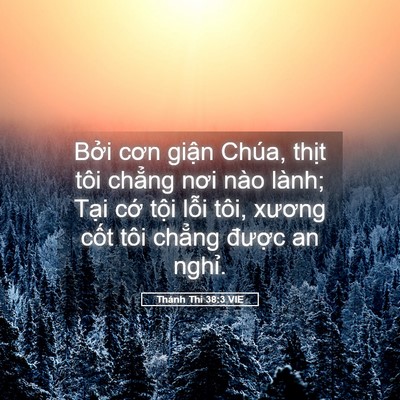 Picture 05 - Thánh Thi 38:3 VIE - Bởi cơn giận Chúa, thịt tôi chẳng nơi - Bible Verse Picture