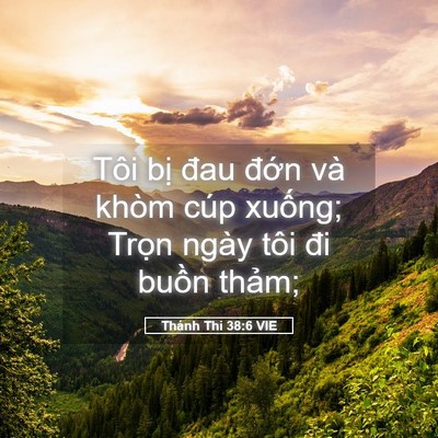 Picture 05 - Thánh Thi 38:6 VIE - Tôi bị đau đớn và khòm cúp xuống; - Bible Verse Picture