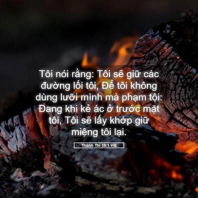 Picture 05 - Thánh Thi 39:1 VIE - Tôi nói rằng: Tôi sẽ giữ các đường - Bible Verse Picture
