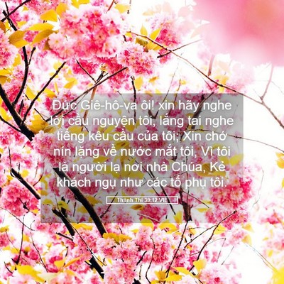 Picture 05 - Thánh Thi 39:12 VIE - Đức Giê-hô-va ôi! xin hãy nghe lời cầu - Bible Verse Picture