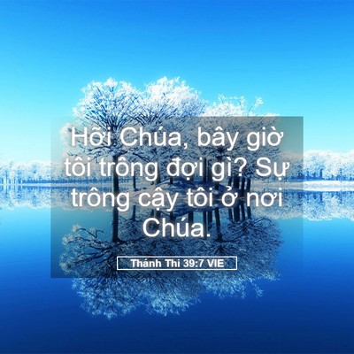 Picture 05 - Thánh Thi 39:7 VIE - Hỡi Chúa, bây giờ tôi trông đợi gì? - Bible Verse Picture