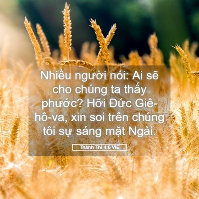 Picture 05 - Thánh Thi 4:6 VIE - Nhiều người nói: Ai sẽ cho chúng ta - Bible Verse Picture