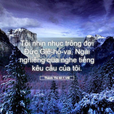 Picture 05 - Thánh Thi 40:1 VIE - Tôi nhịn nhục trông đợi Đức - Bible Verse Picture