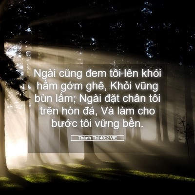 Picture 05 - Thánh Thi 40:2 VIE - Ngài cũng đem tôi lên khỏi hầm gớm - Bible Verse Picture