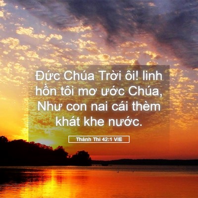 Picture 05 - Thánh Thi 42:1 VIE - Đức Chúa Trời ôi! linh hồn tôi mơ - Bible Verse Picture