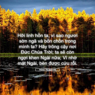 Picture 05 - Thánh Thi 42:5 VIE - Hỡi linh hồn ta, vì sao ngươi sờn ngã - Bible Verse Picture