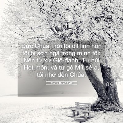Picture 05 - Thánh Thi 42:6 VIE - Đức Chúa Trời tôi ôi! linh hồn tôi - Bible Verse Picture