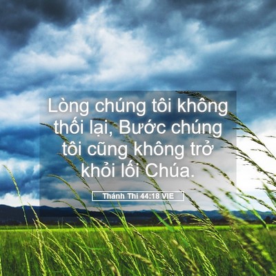 Picture 05 - Thánh Thi 44:18 VIE - Lòng chúng tôi không thối lại, Bước - Bible Verse Picture