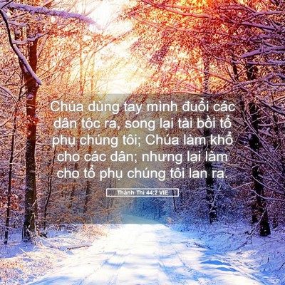 Picture 05 - Thánh Thi 44:2 VIE - Chúa dùng tay mình đuổi các dân tộc ra, - Bible Verse Picture