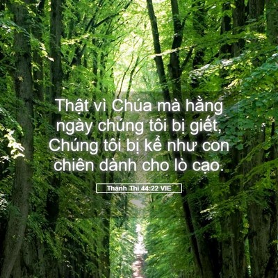 Picture 05 - Thánh Thi 44:22 VIE - Thật vì Chúa mà hằng ngày chúng tôi - Bible Verse Picture