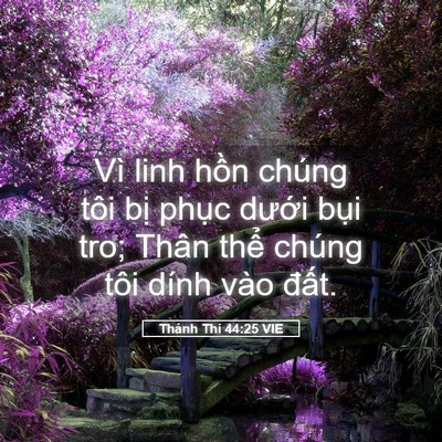 Picture 05 - Thánh Thi 44:25 VIE - Vì linh hồn chúng tôi bị phục dưới - Bible Verse Picture