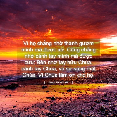 Picture 05 - Thánh Thi 44:3 VIE - Vì họ chẳng nhờ thanh gươm mình mà - Bible Verse Picture
