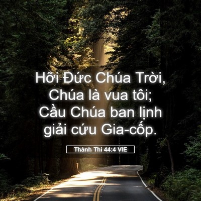 Picture 05 - Thánh Thi 44:4 VIE - Hỡi Đức Chúa Trời, Chúa là vua tôi; - Bible Verse Picture
