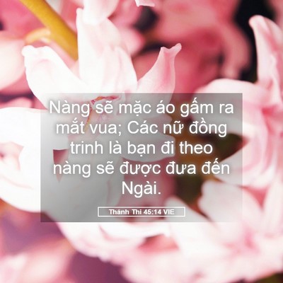 Picture 05 - Thánh Thi 45:14 VIE - Nàng sẽ mặc áo gấm ra mắt vua; Các - Bible Verse Picture