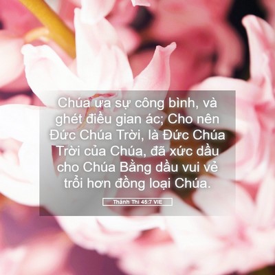 Picture 05 - Thánh Thi 45:7 VIE - Chúa ưa sự công bình, và ghét điều - Bible Verse Picture