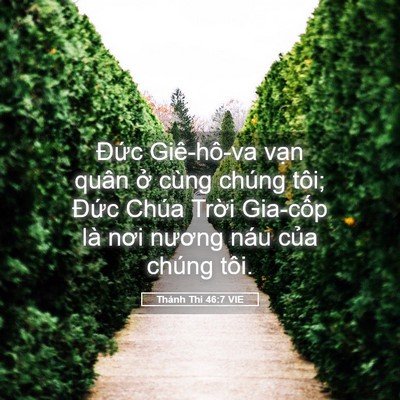 Picture 05 - Thánh Thi 46:7 VIE - Đức Giê-hô-va vạn quân ở cùng chúng - Bible Verse Picture