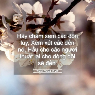 Picture 05 - Thánh Thi 48:13 VIE - Hãy chăm xem các đồn lũy, Xem xét các - Bible Verse Picture