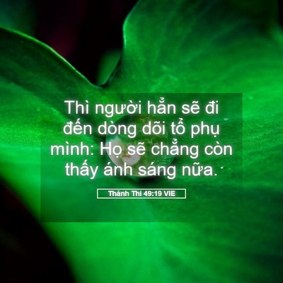 Picture 05 - Thánh Thi 49:19 VIE - Thì người hẳn sẽ đi đến dòng dõi - Bible Verse Picture