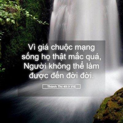 Picture 05 - Thánh Thi 49:9 VIE - Vì giá chuộc mạng sống họ thật mắc - Bible Verse Picture