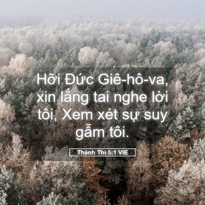 Picture 05 - Thánh Thi 5:1 VIE - Hỡi Đức Giê-hô-va, xin lắng tai nghe - Bible Verse Picture