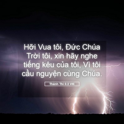 Picture 05 - Thánh Thi 5:2 VIE - Hỡi Vua tôi, Đức Chúa Trời tôi, xin - Bible Verse Picture