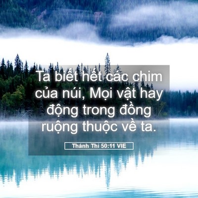 Picture 05 - Thánh Thi 50:11 VIE - Ta biết hết các chim của núi, Mọi vật - Bible Verse Picture