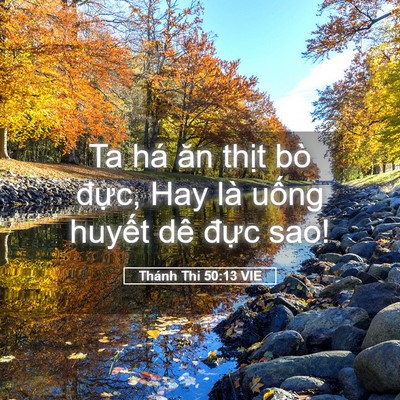 Picture 05 - Thánh Thi 50:13 VIE - Ta há ăn thịt bò đực, Hay là uống - Bible Verse Picture