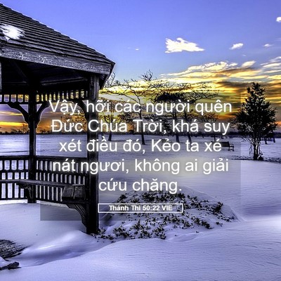 Picture 05 - Thánh Thi 50:22 VIE - Vậy, hỡi các người quên Đức Chúa - Bible Verse Picture