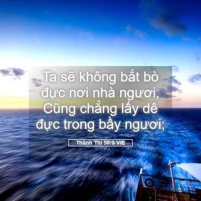 Picture 05 - Thánh Thi 50:9 VIE - Ta sẽ không bắt bò đực nơi nhà - Bible Verse Picture