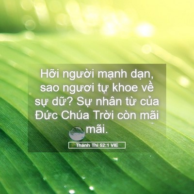 Picture 05 - Thánh Thi 52:1 VIE - Hỡi người mạnh dạn, sao ngươi tự - Bible Verse Picture
