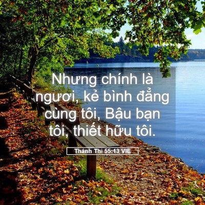 Picture 05 - Thánh Thi 55:13 VIE - Nhưng chính là ngươi, kẻ bình đẳng - Bible Verse Picture