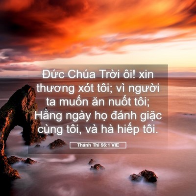 Picture 05 - Thánh Thi 56:1 VIE - Đức Chúa Trời ôi! xin thương xót tôi; - Bible Verse Picture