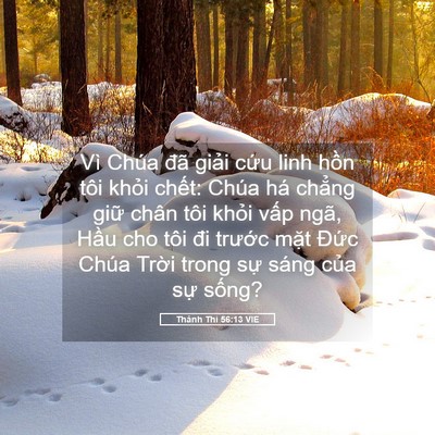 Picture 05 - Thánh Thi 56:13 VIE - Vì Chúa đã giải cứu linh hồn tôi - Bible Verse Picture