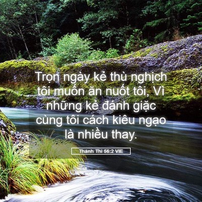 Picture 05 - Thánh Thi 56:2 VIE - Trọn ngày kẻ thù nghịch tôi muốn ăn - Bible Verse Picture