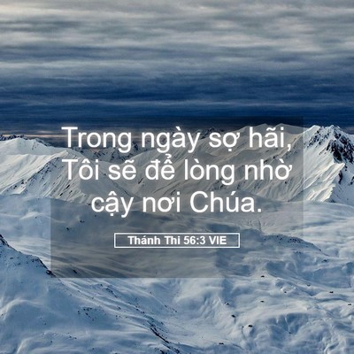 Picture 05 - Thánh Thi 56:3 VIE - Trong ngày sợ hãi, Tôi sẽ để lòng - Bible Verse Picture