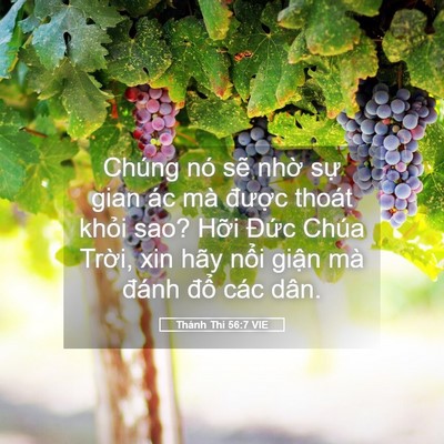 Picture 05 - Thánh Thi 56:7 VIE - Chúng nó sẽ nhờ sự gian ác mà được - Bible Verse Picture