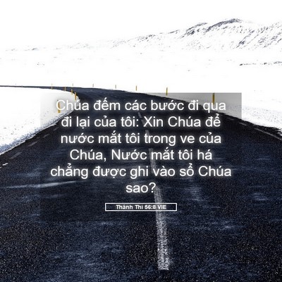 Picture 05 - Thánh Thi 56:8 VIE - Chúa đếm các bước đi qua đi lại của - Bible Verse Picture