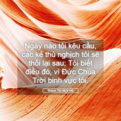 Picture 05 - Thánh Thi 56:9 VIE - Ngày nào tôi kêu cầu, các kẻ thù - Bible Verse Picture