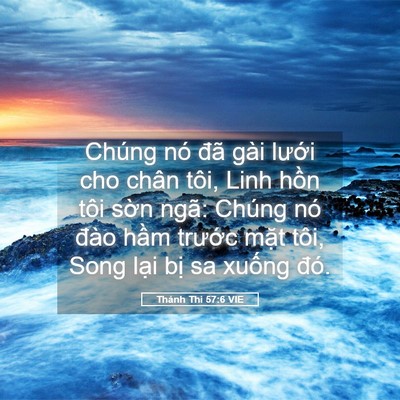Picture 05 - Thánh Thi 57:6 VIE - Chúng nó đã gài lưới cho chân tôi, Linh - Bible Verse Picture