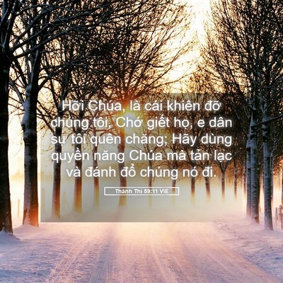 Picture 05 - Thánh Thi 59:11 VIE - Hỡi Chúa, là cái khiên đỡ chúng tôi, - Bible Verse Picture