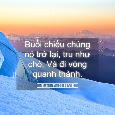 Picture 05 - Thánh Thi 59:14 VIE - Buổi chiều chúng nó trở lại, tru như - Bible Verse Picture