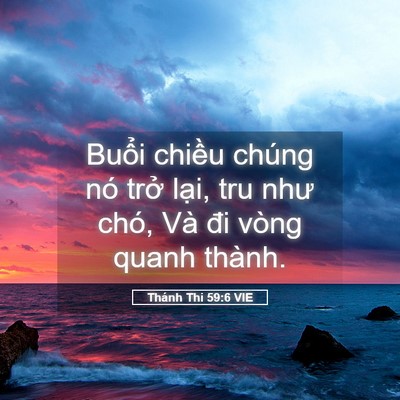 Picture 05 - Thánh Thi 59:6 VIE - Buổi chiều chúng nó trở lại, tru như - Bible Verse Picture