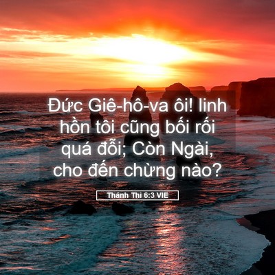 Picture 05 - Thánh Thi 6:3 VIE - Đức Giê-hô-va ôi! linh hồn tôi cũng - Bible Verse Picture