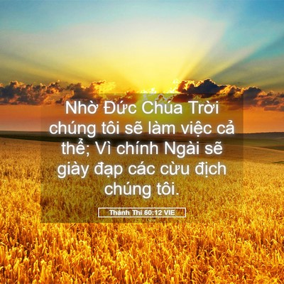 Picture 05 - Thánh Thi 60:12 VIE - Nhờ Đức Chúa Trời chúng tôi sẽ làm - Bible Verse Picture