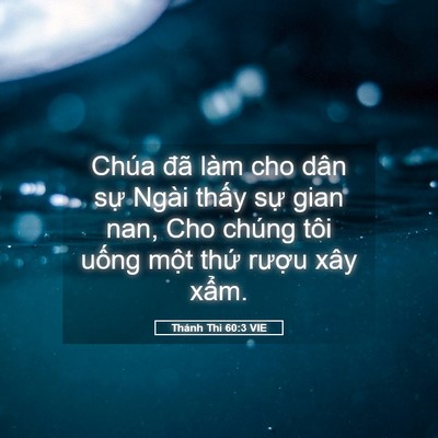 Picture 05 - Thánh Thi 60:3 VIE - Chúa đã làm cho dân sự Ngài thấy sự - Bible Verse Picture
