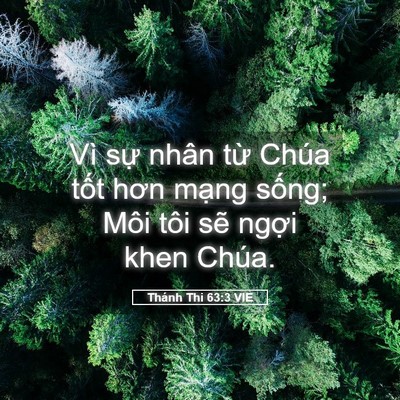 Picture 05 - Thánh Thi 63:3 VIE - Vì sự nhân từ Chúa tốt hơn mạng - Bible Verse Picture