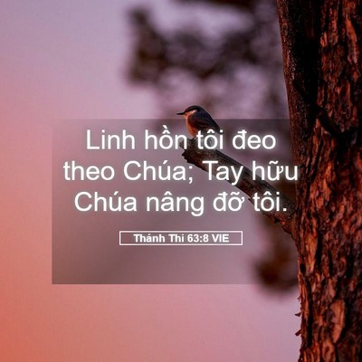 Picture 05 - Thánh Thi 63:8 VIE - Linh hồn tôi đeo theo Chúa; Tay hữu Chúa - Bible Verse Picture
