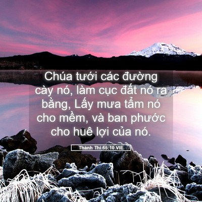 Picture 05 - Thánh Thi 65:10 VIE - Chúa tưới các đường cày nó, làm cục - Bible Verse Picture